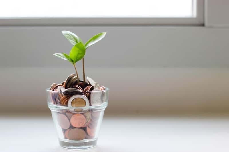 Seedling grow out of glass pot filled with coins.